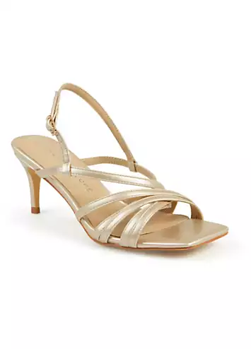Champagne Strappy Heeled Sandals by Kaleidoscope | Look Again