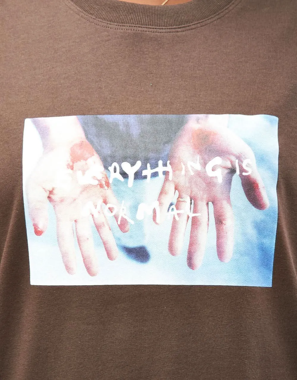 Polar Commitment T-Shirt - Brown